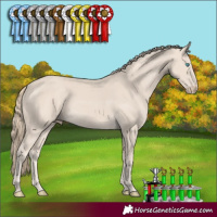 Horse Color:Smoky Creme 