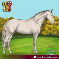 Horse Color:Smoky Creme 