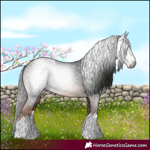 Horse Color:Gray White Spotted Liver Chestnut Tobiano 