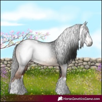 Horse Color:Gray White Spotted Liver Chestnut Tobiano