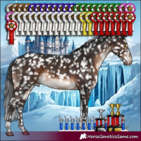 Horse Color:Brown Tobiano Appaloosa
