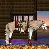 Horse Color:Red Dun Splash  and Red Dun Splash 