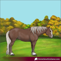 Horse Color:Silver Black 