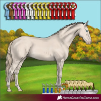 Horse Color:Smoky Creme