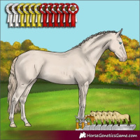 Horse Color:Smoky Creme