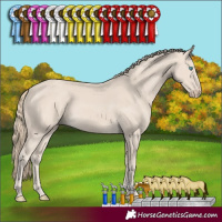 Horse Color:Smoky Creme 