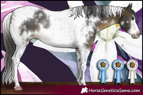 Horse Color:White Spotted Buckskin Tobiano Frame Rabicano 