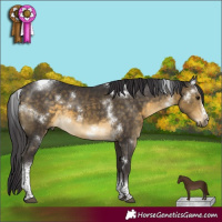 Horse Color:White Spotted Buckskin Tobiano Frame Rabicano 