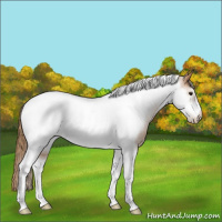 Horse Color:Black Pearl Tobiano Frame Rabicano