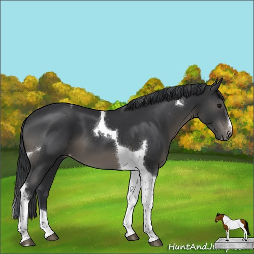 Horse Color:Black Tobiano Varnish