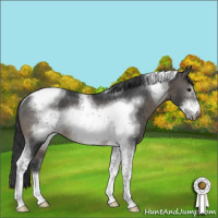 Horse Color:Black Sabino Tobiano Frame Rabicano 