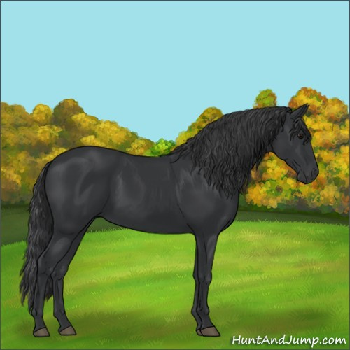 Horse Color:Unknown 