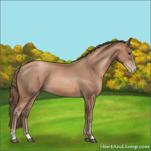 Horse Color:Black Pearl 