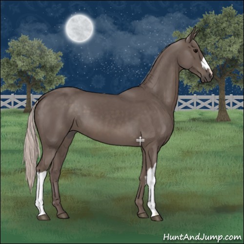 Horse Color:Silver Black 