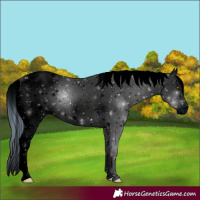 Horse Color:ERROR: UNKNOWN ANOMALY