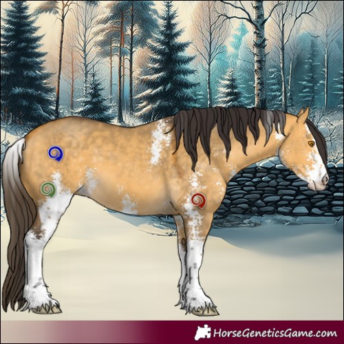 Horse Color:Buckskin Dun Sabino 