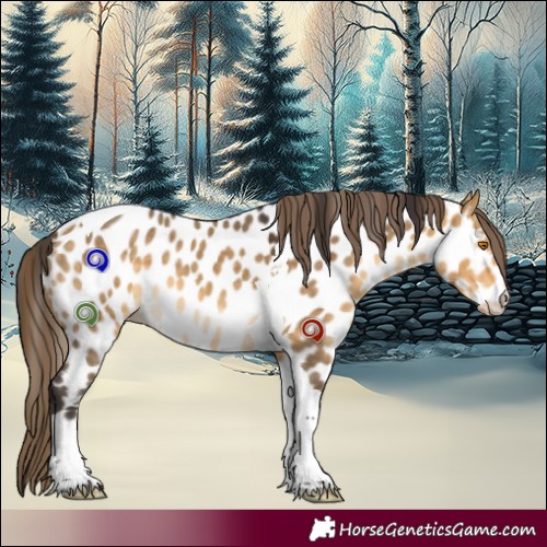 Horse Color:Buckskin Dun Tobiano Appaloosa 