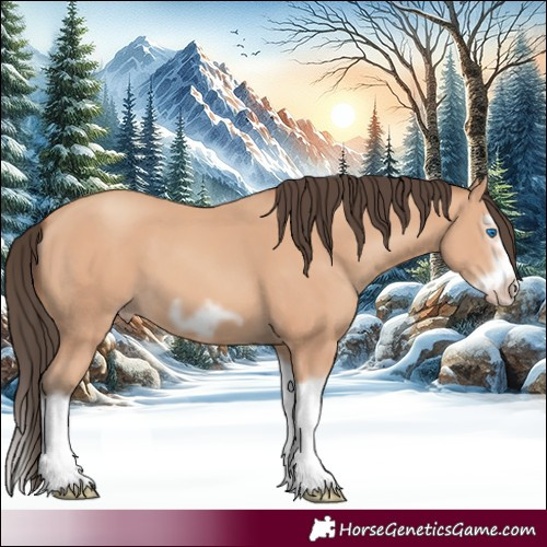 Horse Color:Amber Champagne Splash Frame 