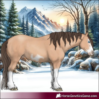 Horse Color:Amber Champagne Splash Frame 