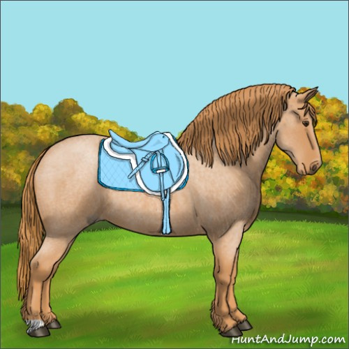 Horse Color:Red Roan 