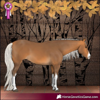 Horse Color:White Spotted Silver Buckskin 