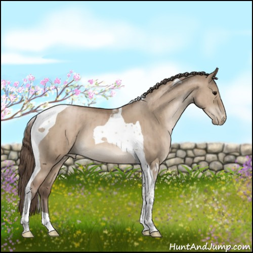 Horse Color:Grullo Pearl Tobiano Brindle 