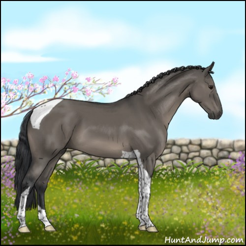 Horse Color:Grullo Tobiano 