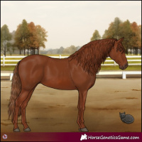 Horse Color:Chestnut 