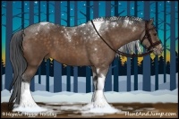 Horse Color:Bay Sabino Tobiano