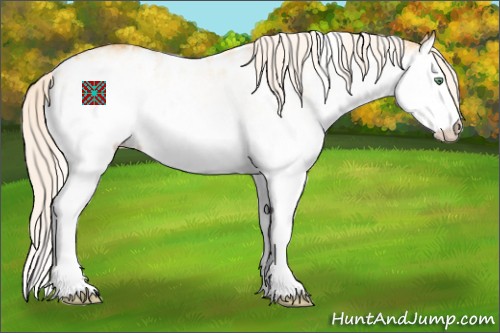 Horse Color:White Spotted Silver Sable Cream Champagne Dun Splash Appaloosa 
