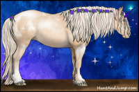 Horse Color:White Spotted Gold Cream Champagne Pearl Sabino Rabicano 