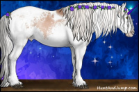 Horse Color:White Spotted Silver Brown Pearl Splash Tobiano Blanket Rabicano