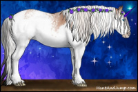Horse Color:White Spotted Silver Brown Snowdrop Pearl Splash Tobiano Rabicano