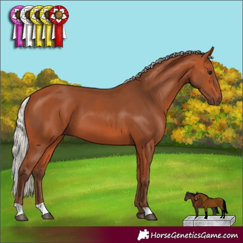 Horse Color:Silver Bay 