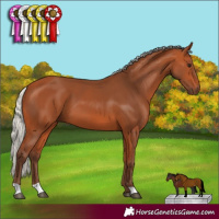 Horse Color:Silver Bay