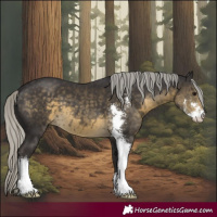 Horse Color:Silver Smoky Black Mushroom Sabino 