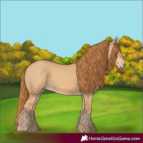 Horse Color:Red Dun 