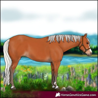 Horse Color:Silver Bay 