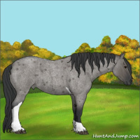 Horse Color:Grullo Roan Tobiano 