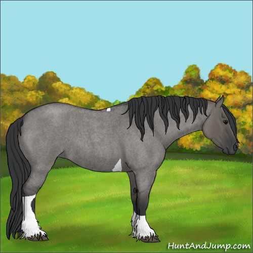 Horse Color:Grullo Roan Tobiano 
