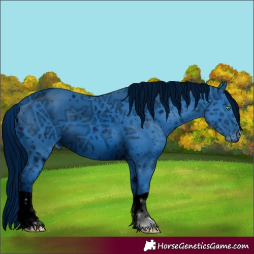 Horse Color:ERROR: UNKNOWN ANOMALY
