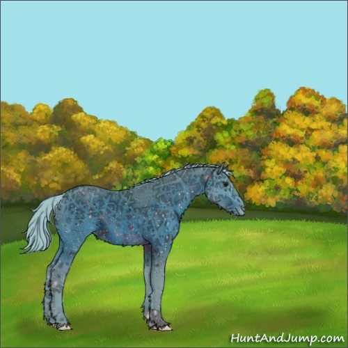 Horse Color:ERROR: UNKNOWN ANOMALY