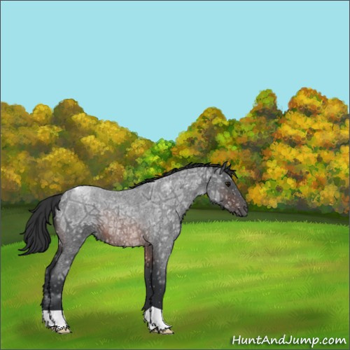 Horse Color:Brown Ice Roan 