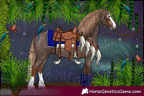 Horse Color:Gray Red Roan Splash 