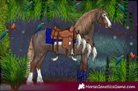 Horse Color:Gray Red Roan Splash