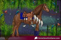 Horse Color:Gray Chestnut 