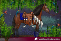 Horse Color:Gray Bay