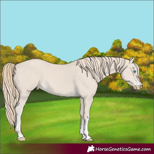 Horse Color:Smoky Creme 