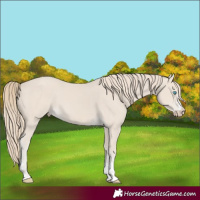Horse Color:Smoky Creme 