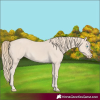 Horse Color:Smoky Creme 